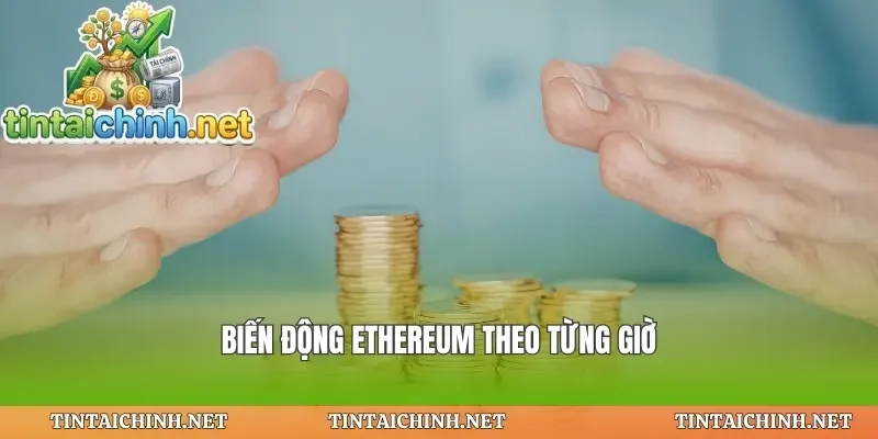 Biến động ethereum theo từng giờ