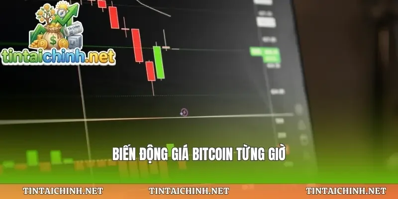 Biến động giá bitcoin từng giờ