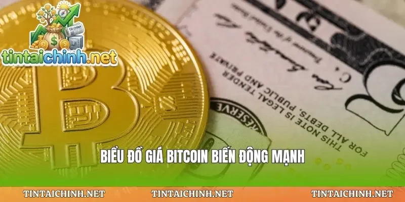 Biểu đồ giá bitcoin biến động mạnh