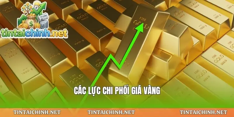 Các lực chi phối giá vàng