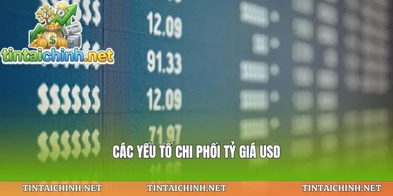 Các yếu tố chi phối tỷ giá usd
