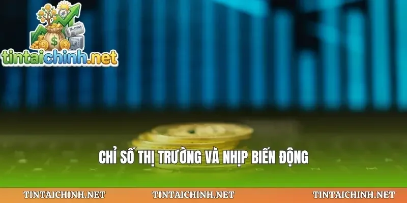 Chỉ số thị trường và nhịp biến động