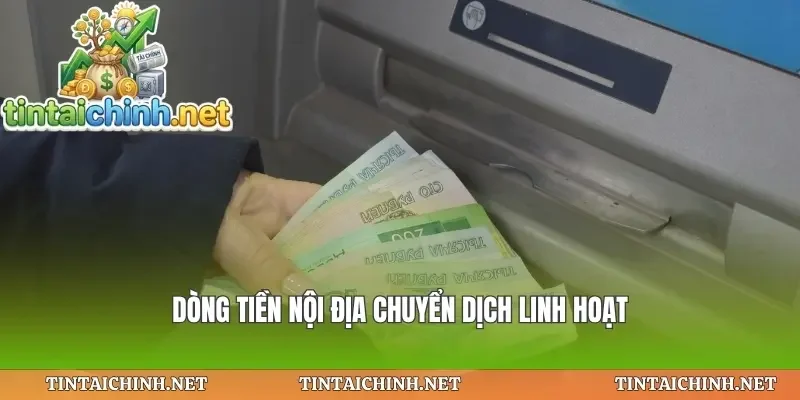 Dòng tiền nội địa chuyển dịch linh hoạt