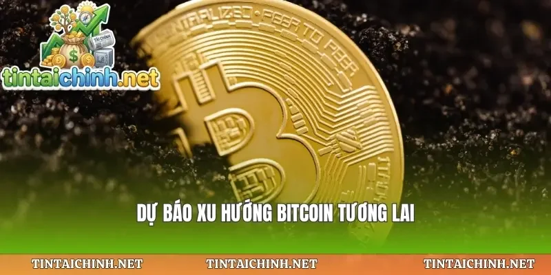 Dự báo xu hướng bitcoin tương lai