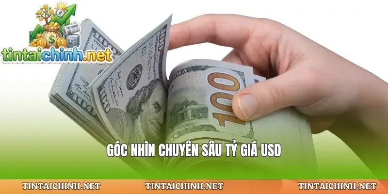 Góc nhìn chuyên sâu tỷ giá usd