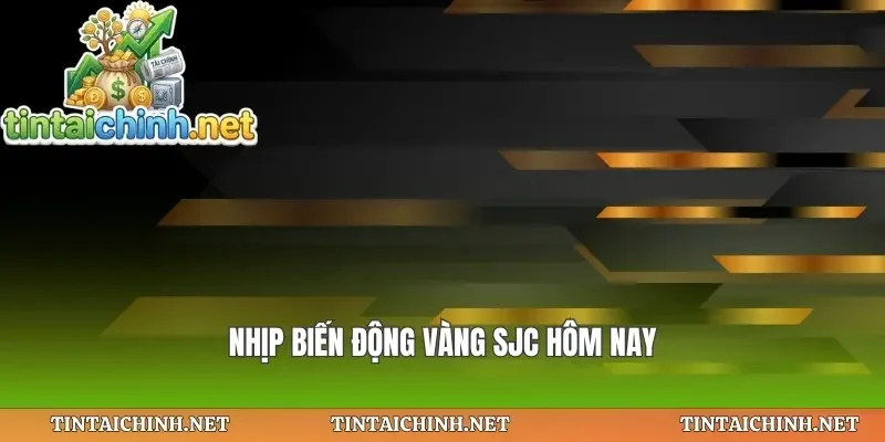 Nhịp biến động vàng sjc hôm nay