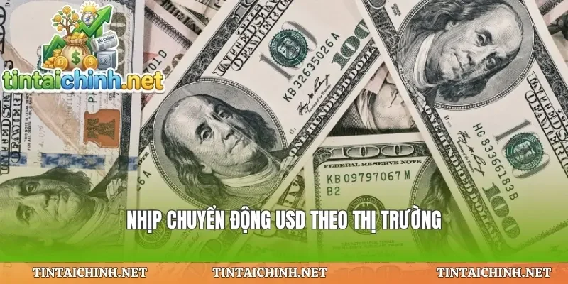 Nhịp chuyển động usd theo thị trường