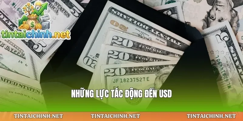 Những lực tác động đến usd