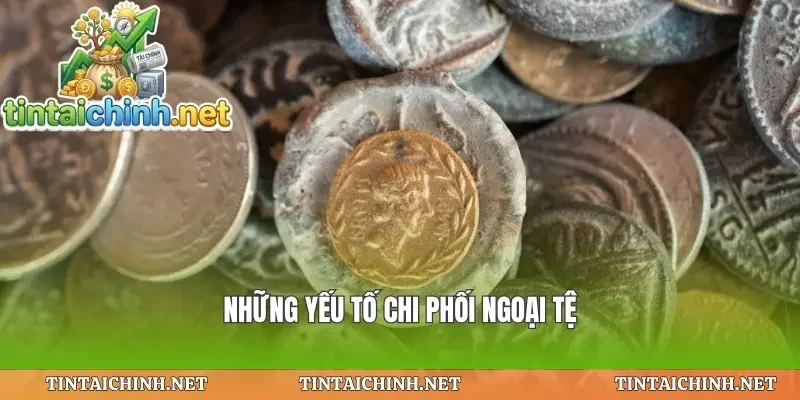 Những yếu tố chi phối ngoại tệ