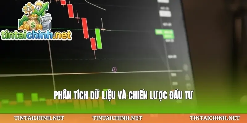 Phân tích dữ liệu và chiến lược đầu tư