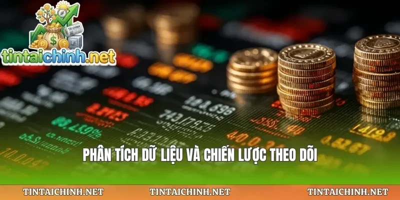 Phân tích dữ liệu và chiến lược theo dõi