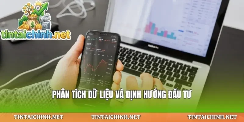 Phân tích dữ liệu và định hướng đầu tư