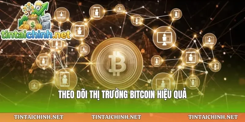 Theo dõi thị trường bitcoin hiệu quả