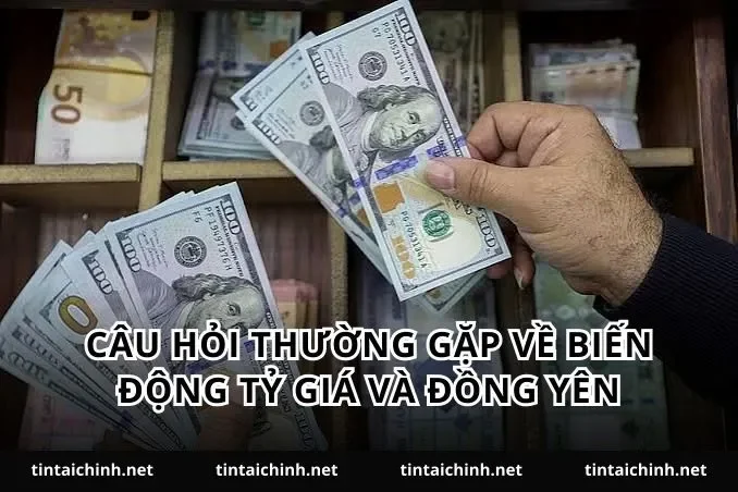 Câu hỏi thường gặp về biến động tỷ giá và đồng yên
