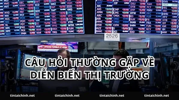 Câu hỏi thường gặp về diễn biến thị trường