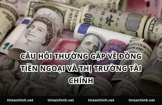 Câu hỏi thường gặp về đồng tiền ngoại và thị trường tài chính