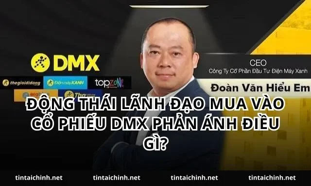 Động thái lãnh đạo mua vào cổ phiếu DMX phản ánh điều gì?