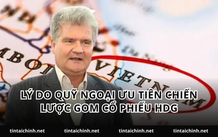 Lý do quỹ ngoại ưu tiên chiến lược gom cổ phiếu HDG