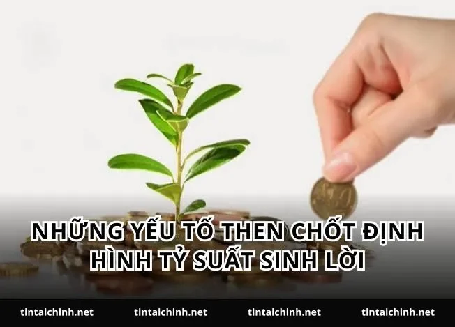 Những yếu tố then chốt định hình tỷ suất sinh lời