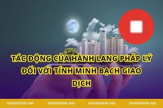 Tác động của hành lang pháp lý đối với tính minh bạch giao dịch