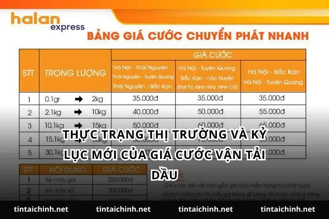 Thực trạng thị trường và kỷ lục mới của giá cước vận tải dầu
