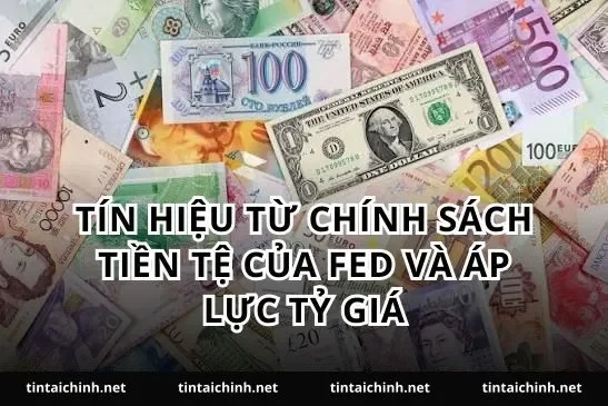 Tín hiệu từ chính sách tiền tệ của Fed và áp lực tỷ giá