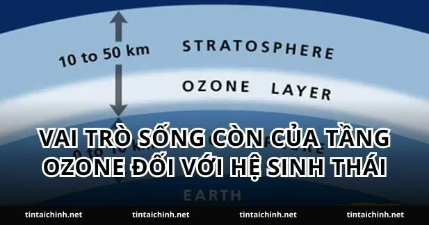 Vai trò sống còn của tầng ozone đối với hệ sinh thái